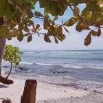 Beach view
